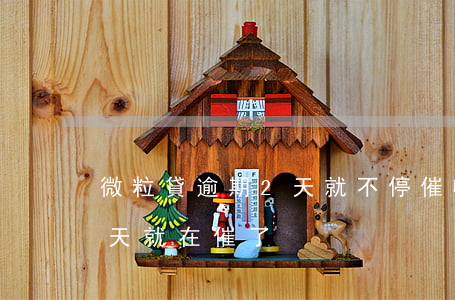 微粒貸逾期2天就不停催收-微粒貸逾期幾天就在催了
