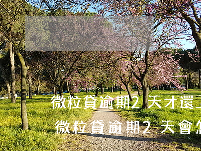 微粒貸逾期2天才還上會有什么嚴重后果-微粒貸逾期2天會怎樣?
