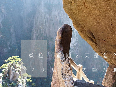 微粒貸逾期2天是怎么算(微粒貸過了還款日2天后還進去算逾期嗎)