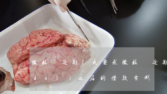 微粒貸逾期2天要求 微粒貸逾期了兩天對(duì)之后的借款有影響嗎