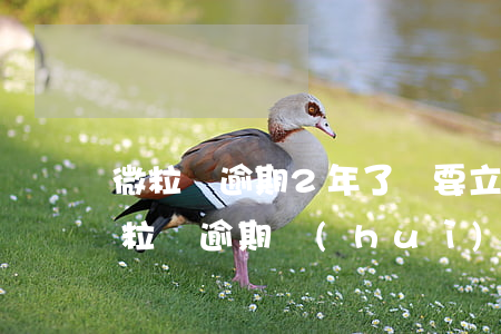 微粒貸逾期2年了,說要立案起訴是真的嗎（微粒貸逾期會(huì)不會(huì)起訴）