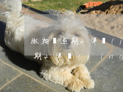 微粒貸逾期2年經(jīng)歷(微粒貸逾期2年經(jīng)歷會怎樣)