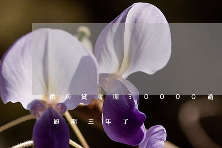 微粒貸逾期30000逾期2年多-微粒貸逾期三年了