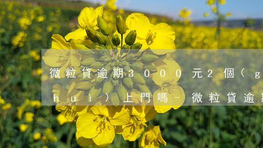 微粒貸逾期3000元2個(gè)月會(huì)上門嗎-微粒貸逾期74天欠款3000