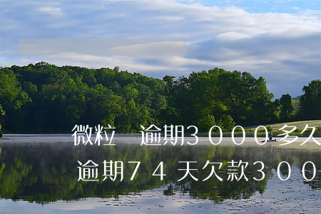 微粒貸逾期3000多久會找上門-微粒貸逾期74天欠款3000