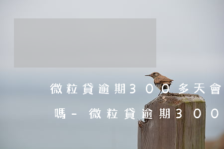 微粒貸逾期300多天會(huì)被起訴嗎-微粒貸逾期300多天會(huì)被起訴嗎知乎