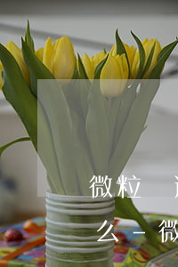 微粒貸逾期330天真的會(huì)上門么-微粒貸逾期300天