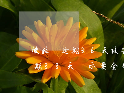 微粒貸逾期36天被要求全額還款(微粒貸逾期33天,顯示要全部還款怎么辦)