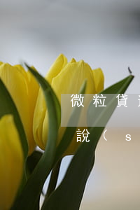 微粒貸逾期3個(gè)月發(fā)信息說(shuō)起訴到法院（微粒貸逾期三個(gè)月寄法院傳票）