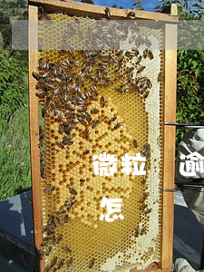 微粒貸逾期3個月一萬多(微粒貸逾期3天會怎樣?)