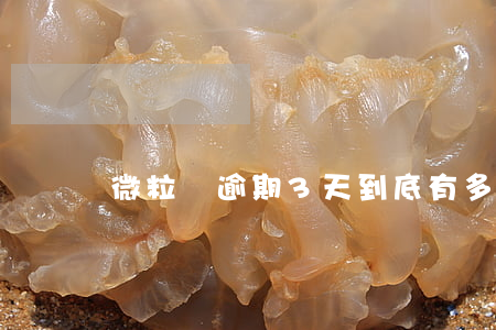 微粒貸逾期3 天到底有多可怕-