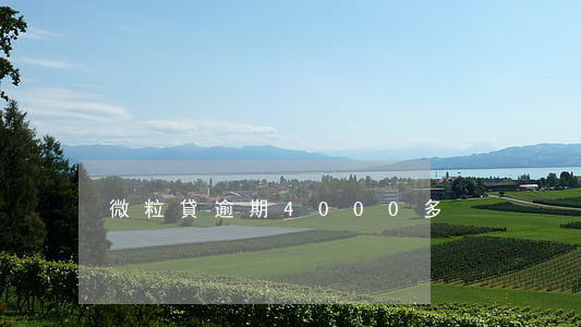 微粒貸逾期4000多