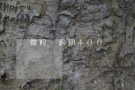 微粒貸逾期400塊錢會上門收款