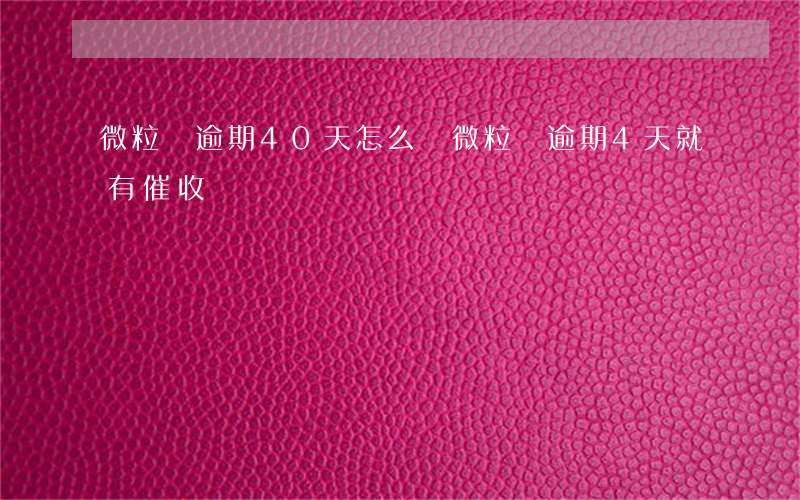 微粒貸逾期40天怎么辦(微粒貸逾期4天就有催收)