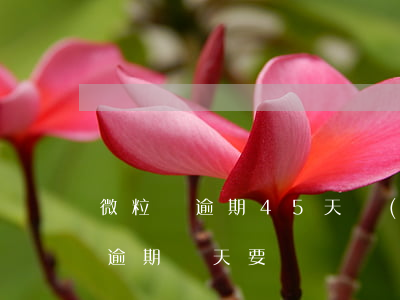 微粒貸逾期45天嚴(yán)重嗎(微粒貸逾期幾天要緊嗎)