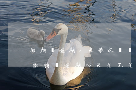 微粒貸逾期4天催收嗎會(huì)上門嗎(微粒貸逾期四天,是不是以后都不能借錢了)