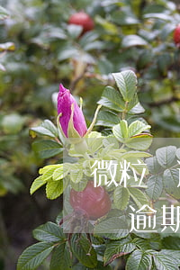 微粒貸逾期4天說(shuō)要立案(微粒貸逾期4天會(huì)有什么后果?,有獎(jiǎng)問(wèn)答)