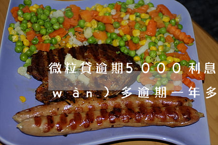 微粒貸逾期5000利息(微粒貸欠款5萬(wàn)多,逾期一年多)
