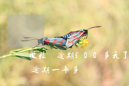 微粒貸逾期500多天了(微粒貸欠款5萬多,逾期一年多)