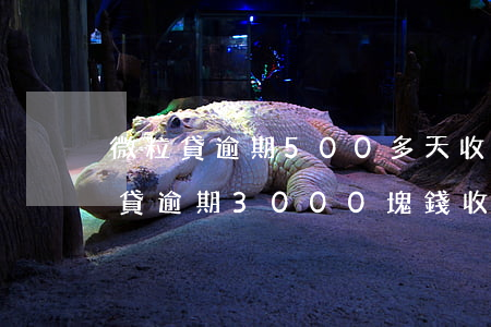 微粒貸逾期500多天收到法院傳票-微粒貸逾期3000塊錢收到了法律通知函