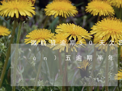 微粒貸逾期50天欠四百多(微粒貸四萬(wàn)五逾期半年)