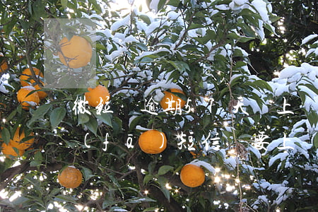 微粒貸逾期57天說上門(微粒貸逾期七天,發(fā)短信說要上門)