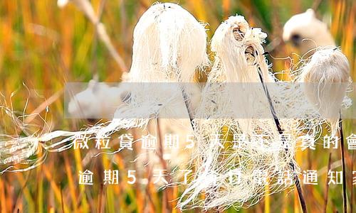 微粒貸逾期5天是不是真的會上門-微粒貸逾期5天了會打電話通知家人嗎