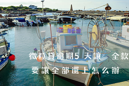 微粒貸逾期5天讓換全款(微粒貸分期逾期了要讓全部還上怎么辦)