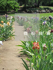 微粒貸逾期5天還能用嗎(微粒貸逾期5天還款后能不能正常使用)