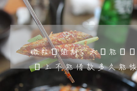 微粒貸逾期5天還能還嗎(微粒貸逾期了一天還上不能借款多久能恢復(fù))