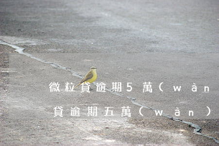 微粒貸逾期5萬(wàn)起訴怎么辦(微粒貸逾期五萬(wàn)多,現(xiàn)在還不上怎么辦)