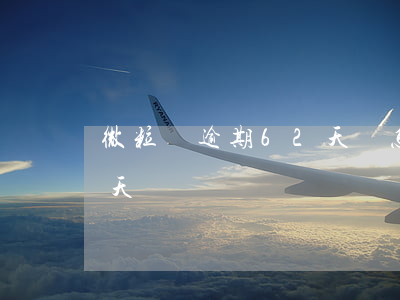 微粒貸逾期62天會怎樣(微粒貸逾期131天)