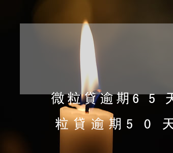 微粒貸逾期65天會(huì)被起訴嗎(微粒貸逾期50天后還了一部分會(huì)被起訴嗎)