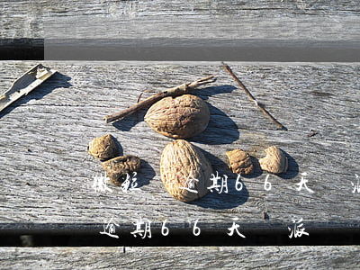 微粒貸逾期66天會派專員調查嗎-微粒貸逾期66天會派專員調查嗎是真的嗎