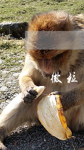 微粒貸逾期68天共14000-
