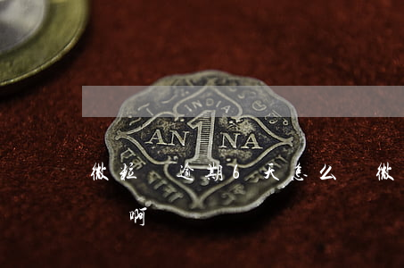 微粒貸逾期6天怎么辦 微粒貸逾期6天怎么辦啊