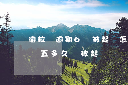 微粒貸逾期6萬被起訴怎么辦(微粒貸逾期一萬五多久會被起訴)