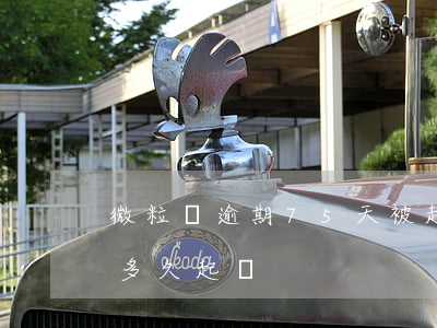 微粒貸逾期75天被起訴(微粒貸一萬多逾期多久起訴)
