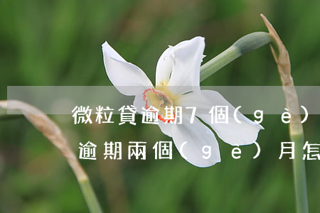 微粒貸逾期7個(gè)月怎么處理(微粒貸逾期兩個(gè)月怎么辦)
