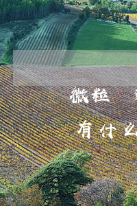 微粒貸逾期7天就上門嗎(微粒貸逾期7天會有什么后果?,有獎問答)