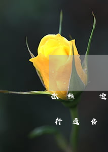 微粒貸逾期7天就發(fā)執(zhí)行通告(微粒貸逾期半年今天發(fā)短信說(shuō)已申請(qǐng)強(qiáng)制執(zhí)行是真的嗎)