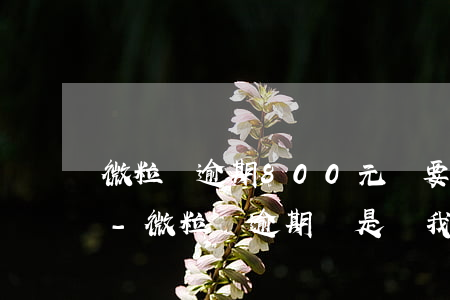 微粒貸逾期800元說要上門給村委打電話-微粒貸逾期說是給我們村委會打電話去了