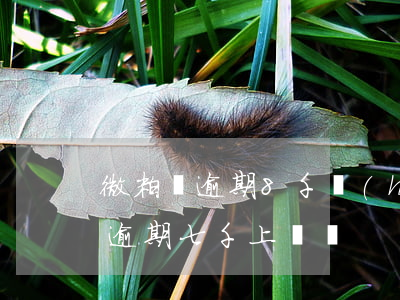 微粒貸逾期8千會(huì)上門嗎(微粒貸逾期七千上門嗎)