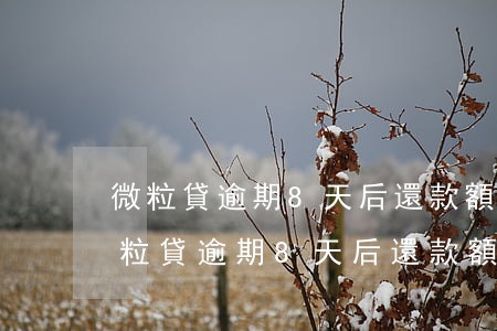 微粒貸逾期8天后還款額度會不會被降-微粒貸逾期8天后還款額度會不會被降低