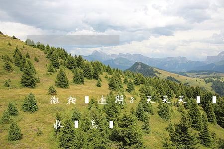 微粒貸逾期8天天天騷擾(微粒貸逾期8天催收會怎樣)