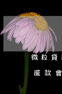 微粒貸逾期8年在還款-微粒貸逾期8年在還款會(huì)怎么樣