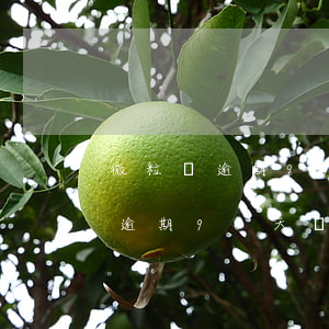 微粒貸逾期90天還款先抵消本金-微粒貸逾期90天還款先抵消本金嗎