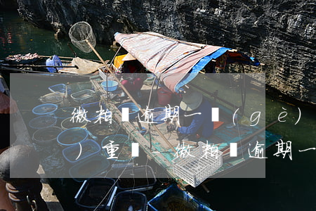 微粒貸逾期一個(gè)多月很嚴(yán)重嗎-微粒貸逾期一個(gè)月怎么辦