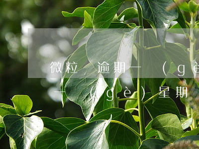 微粒貸逾期一個(gè)月催收(微粒貸逾期一個(gè)星期)