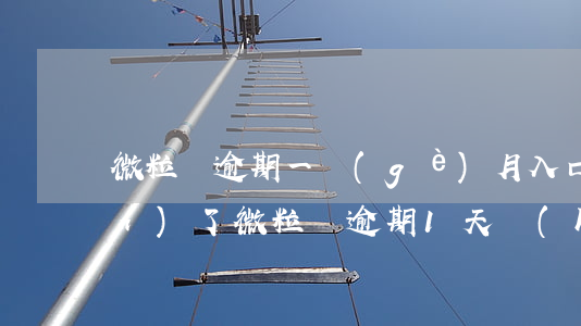 微粒貸逾期一個(gè)月入口關(guān)了(微粒貸逾期1天會(huì)怎樣?)